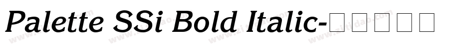 Palette SSi Bold Italic字体转换